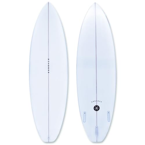 ESSENCE BOARD GbZX T[t{[h SHORT 6'6  t[`[ EPS FUTURE V[g{[h T[t{[h gCtB T[tB }X|[c