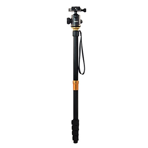 togopod Julia 2in1 Stativ & Einbein mit Kugelkopf, max. Höhe 158cm, min. Höhe 36cm, Tragfähigkeit 5kg, Gewicht 1,57 kg… – Bild 5