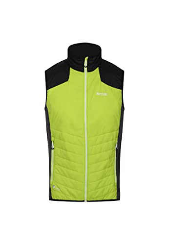 Preisvergleich Produktbild Regatta Herren Halton leichte Steppweste RMB121 3XL Kiwi