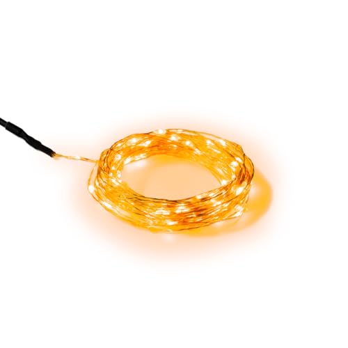 Camplight® - USB-C Lichterkette by The Sunnyside |robust |wetterfest |drinnen & draußen |Campingbeleuchtung, Gartenbeleuchtung |geringer Stromverbrauch |10m lang |100 LEDs |warmweiß |dimmbar