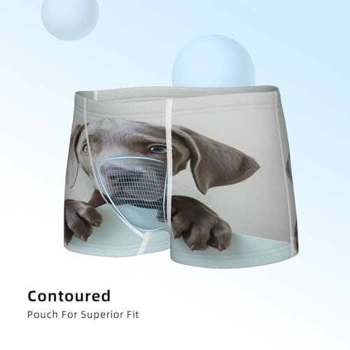 Boys' Cotton Boxer Brief Soft Underwear-Adorable Puppy Portrait4