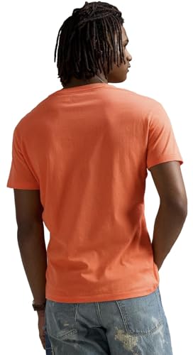 Image of Polo RL Men's Classic Fit V-Neck T-Shirt
