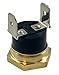 Replacement for American Volt Electric Radiator Fan Thermostat, 12 Month Warranty, Temperature Switch with Thread-In Brass Probe (1/8