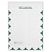 TFP ComplyRight UB-04 Self Seal Document Envelopes, 9-Inch x 12 1/2-Inch, White/Green, 100/Box (1492LL)