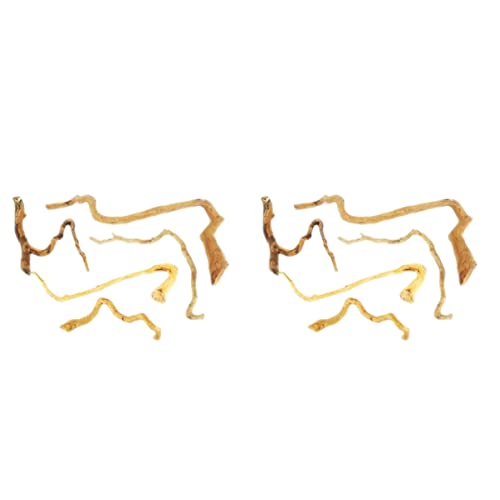 POPETPOP 10Pcs Rami Subacquei Rododendro Scena