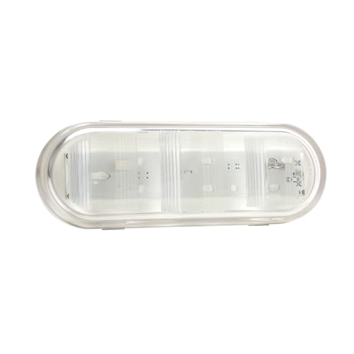 Back-Up Lamp, Oval, Single