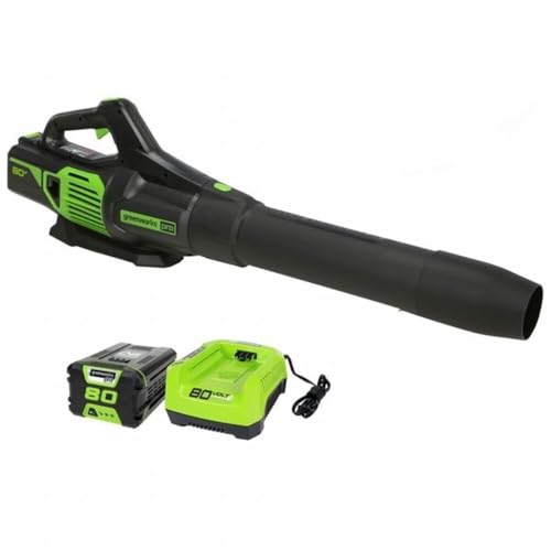 Greenworks 2424402VT 80V 730CFM Axial Handheld Leaf Blower