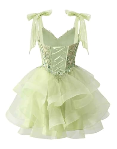 Tiered Tulle Homecoming Dresses 2025 for Teens Lace Applique Sweet 16 Short Prom Cocktail Dress3