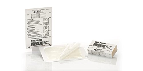 Bell Labs Full Case Of Trapper Max Free Mouse Glue Boards (72 Boards), White (Tx2672) #TOP1