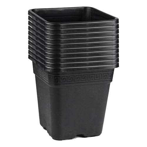 Easy Act 10er Set Pflanztopf viereckig 9L, 22,5x22,5x24 cm, Blumentopf aus Kunststoff wetterbeständig, Topf mit Ablauflöchern für kleinere Pflanzen, Kräuter und Blumen