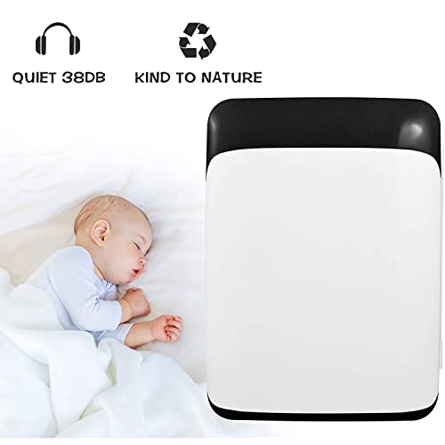 Mini koelkast 10 L, Mini koelkast for huidverzorging, cosmetica, drank, snacks, rustige draagbare kleine koelkast AC/DC, Elektrische koeler en warmer for auto-camping - Afbeelding 5