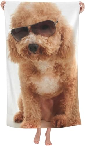 gCEv[h  oX^I 唻 z y  R hL ӂӂ Ԃp ƒp q  lC v[g