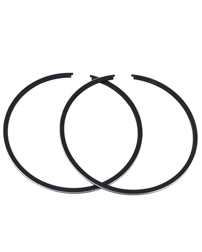 sXgLbg CRM250 CRM 250 246 KAE MD24 I[goCp 66mm - 67mm sXgOLbg(66.50mm Rings)