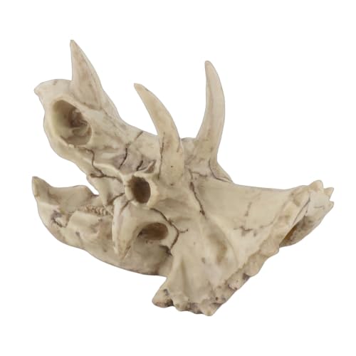 Modelo de cráneo de dinosaurio Triceratops miniatura 7