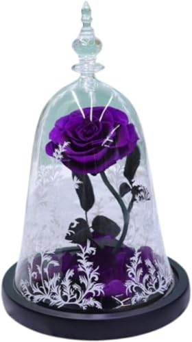 BianstarƖb a LO j v|[Y vU[uht[ 閂@̃o  MtgMtgZbgグ܂ (D) [sAi]