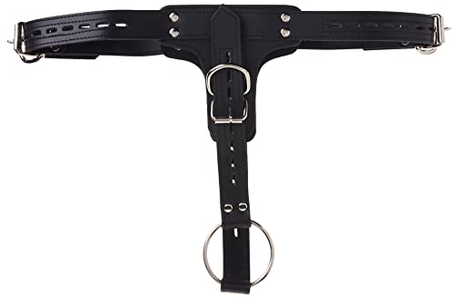 Strict Leather Premium Locking Leather Cock Ring and Butt Plug Harness