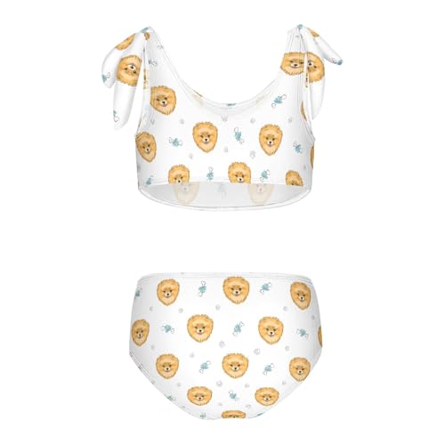 Toddler Girls Bikini Set Puppy Dog Swimsuits Kid Bowknot Swimwear 2 Piece Bathing Suit 3-12T2