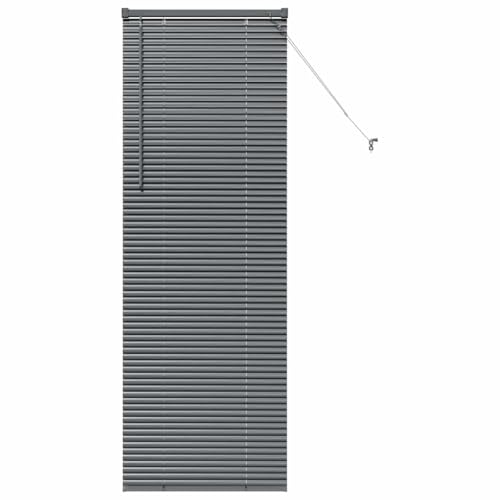 vidaXL Stores vénitiens Gris foncé 175 x 60 cm Aluminium, Stores Modernes, en Aluminium réglables, vénitiens rectangulaires, Super déco fenêtres pour...