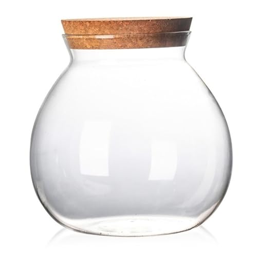 Pot de Terrarium, Terrarium de Plantes en Verre 1800 ML, récipient fermé avec Couvercle en liège pour Plantes succulentes, récipient Vase Bol à Poisson
