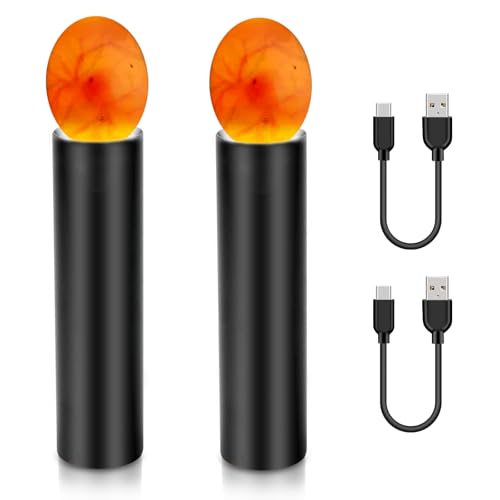 2 Stück Schierlampe für Hühnereier LED-Licht Ei Candler für Hühnereier Eierkerzenlicht zur Überwachung der Entwicklung des Embryo ABS-Material Eierlampe In Hand Hühnerei-Tester für alle Eiertypen