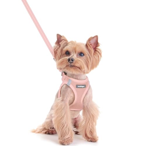 Image of rabbitgoo Dog Harness Small Sized and Leash Set, Step-in Puppy Pet Vest