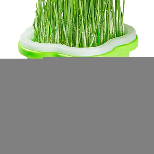 HunicandIU Ciotola per germogli di piante, vaso per piante di erba gatta – Vassoio multifunzione per erba di gatto – Vassoio per piante – Vaso riutilizzabile per piantine