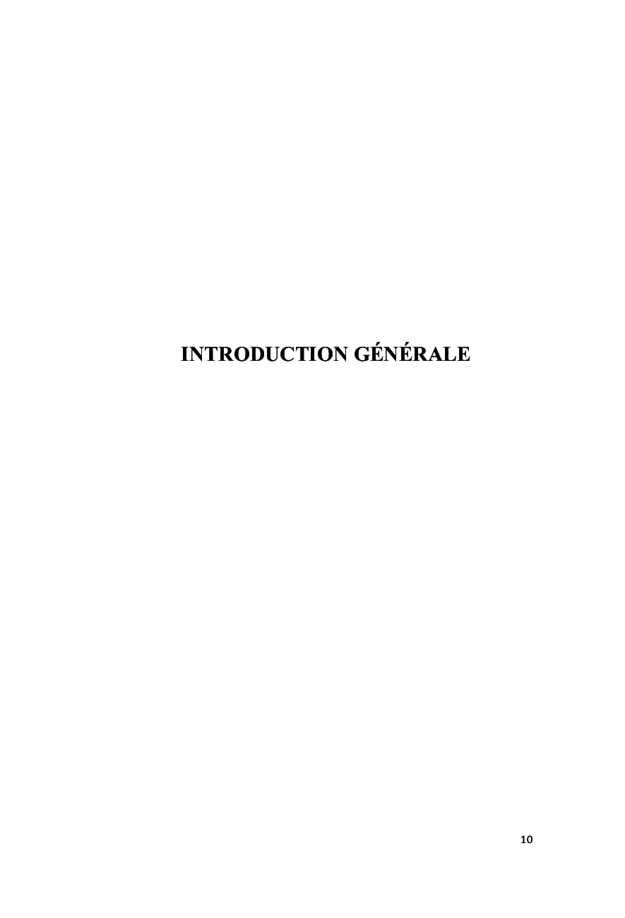 Le Thème de la Crise de la Rationalité: dans quelques textes romanesques français postmodernes