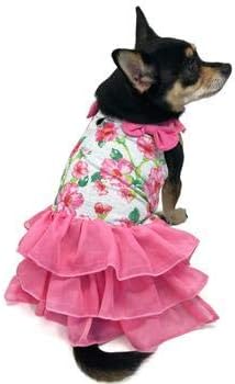 dogo pet fashions