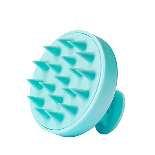 Hair Burst Brosse de massage stimulante pour cuir chevelu Cover