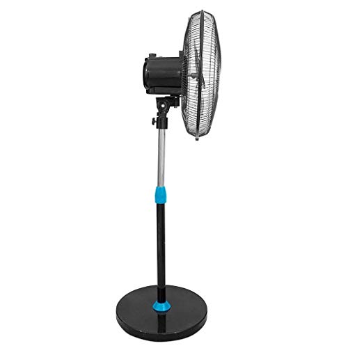 RAM - Cooling Fans Pedestal Oscillating 18" & 16" Wall Fan 16" & Eco Fan 12" (Ram Heavy Duty Pedestal 4 speed 18")