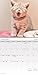 2026 Cuddly Kittens Mini Wall Calendar