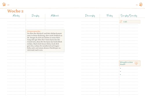 Das erste Jahr mit deinem Welpen – dein Wochenkalender: 52 Wochen voller Know-how, Tipps und Freizeitspaß | Mit Platz für deine Notizen und Erinnerungen, Wochenjournal, Geschenk