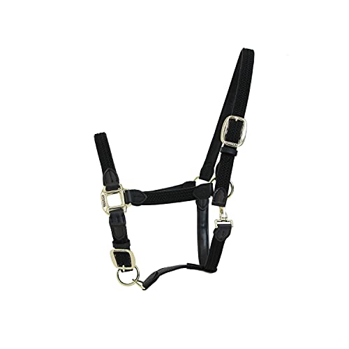 Cabestro de nylon trenzado negro Kentucky cob para el prado y transporte