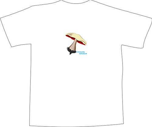 Black Dragon - T-Shirt E402 - Blanco - Talla XXL - minimalistisches Design - Riesen-Rötling im Wald - Hombre mujer fiesta carnaval regalo trabajo ⭐