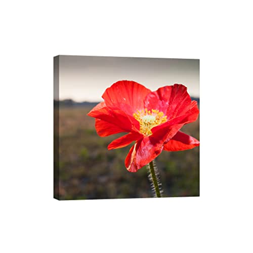 Tableau fleurs dcf052-1 résout les murs sombres avec sa toile phosphorescente 80x80