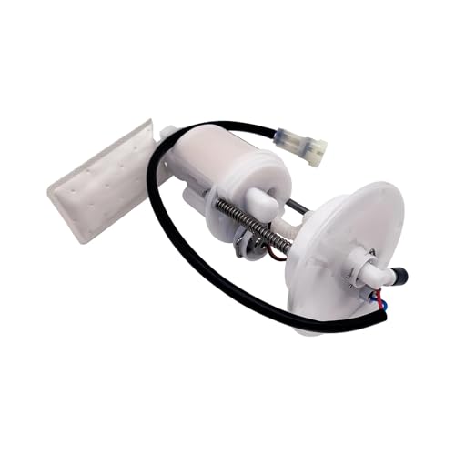 Pompe à carburant haute durabilité pour moteurs 500 600 625