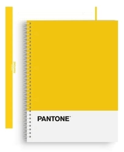 Block Escolofi Notebook Pantone Basic A4 80H Cuadric.5X5 90G Amarillo. 5 Unidades