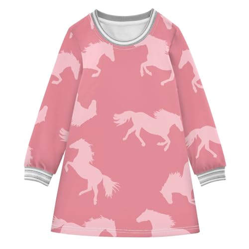 Pink Horse Girls Dresses Long Sleeve Sweatshirt Dress for Girls Winter Toddler Casual A Line Dresses Size 2-8T