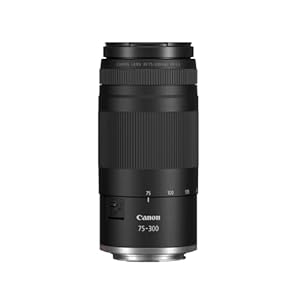 Canon RF 75-300mm F4-5.6 Objektiv | Leichtes Telezoom-Objektiv für Tier- & Sportfotografie | Mit Autofokus-Motor & Super-Spectra-Beschichtung | Kompatibel mit Canon EOS R Systemkameras