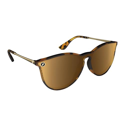 Image of Blenders Eyewear North Park X2 - Polarized Sunglasses - Classic Shape, Mixed Metal Frame - 100% UV Protection