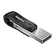 SanDisk iXpand Go Flash-Laufwerk iPhone Speicher 128 GB (iPad kompatibel, automatisches Backup, Schlüsselanhänger-Funktion, USB 3.0, iXpand App), Schwarz
