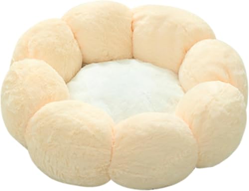 XinYiRich ybg xbh  NbV ۂ`̌Lpxbh \t@ ybgpi h[ic  ӂӂ  Ԍ^ g Eh ӂӂ Q ې􂢉 ^ L p t[lXgLbgK[htŖѕzt ~ h