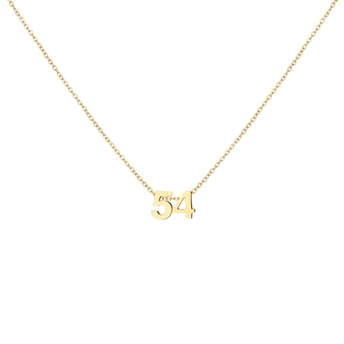 LOXUAKAM 18K Gold Plated Number 54 Necklace for Women Dainty Pendant Chain Necklace Birthday Jewelry for Gift