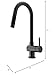 VIGO Gramercy 17'' H Single Handle Pull-Down Spout Kitchen Faucet in Matte Black-VG02008MB