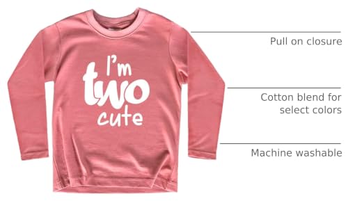Image of 2nd Birthday Outfits for Toddler Girls im Two Cute Shirt Girl 2 Years Old Second Birthday