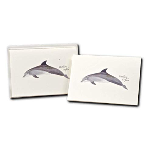 Image of Earth Sky + Water - Bottlenose Dolphin Notecard Set - 8 Blank Cards with Envelopes