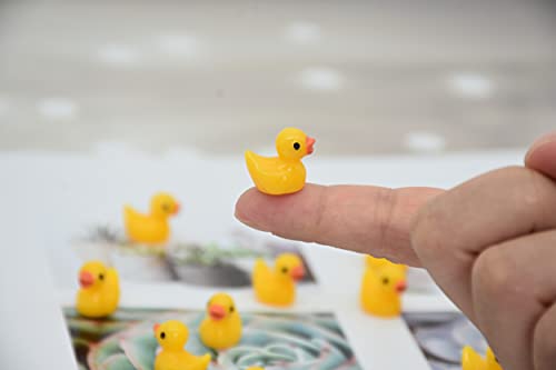 Yuronam 70 Pcs Tiny Duck Slime Charms Little Resin Duck Beads Miniature Ornament For Slime, Dollhouse, Garden Decoration #TOP1