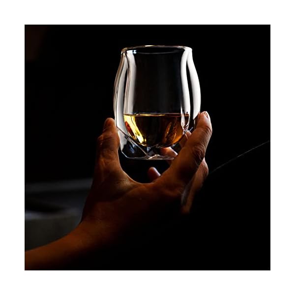 NORLAN Whisky Glass, Set of 2 The Community Connection