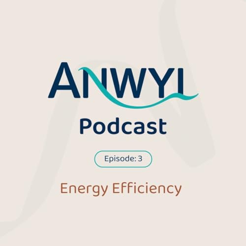 Anwyl Podcast: Energy Efficiency - Ep3