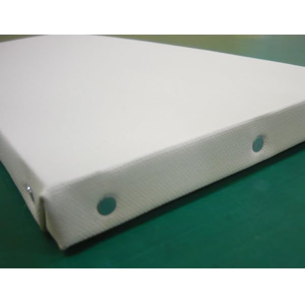 キャンバス Amazon.co.jp: Wサイズ ホワイト 張りキャンバス KF W-4 ワイド